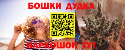 стафф Апшеронск